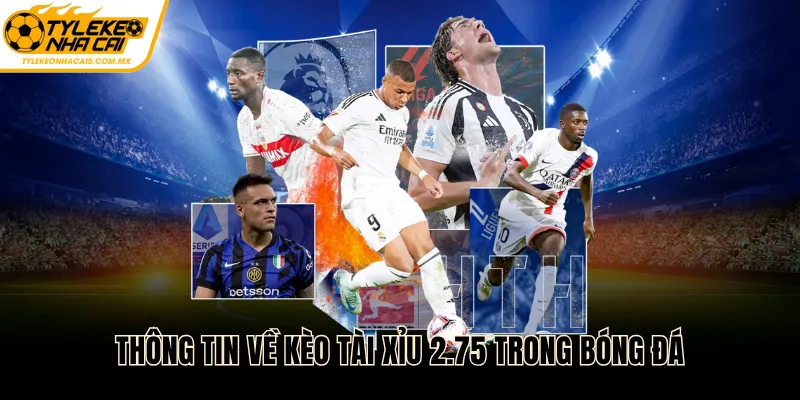 Thông tin về kèo tài xỉu 2.75 trong bóng đá