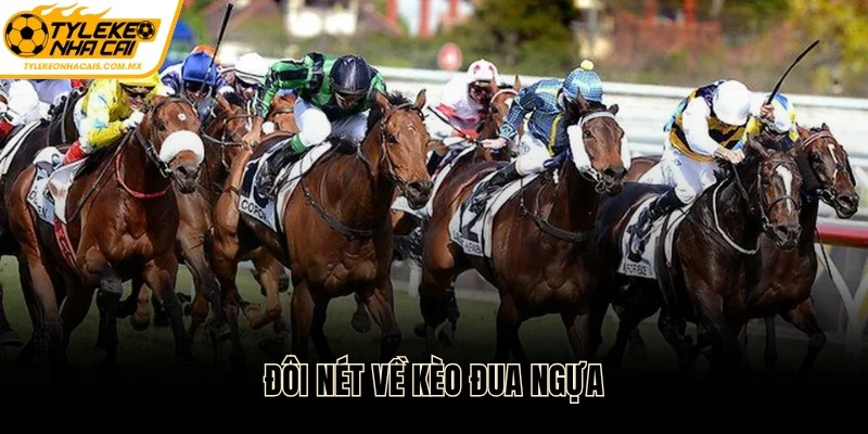 Đôi nét về kèo đua ngựa